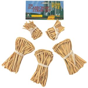 Wizard Of Oz Scarecrow Costume Accessory Set
