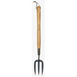  shot 15805244