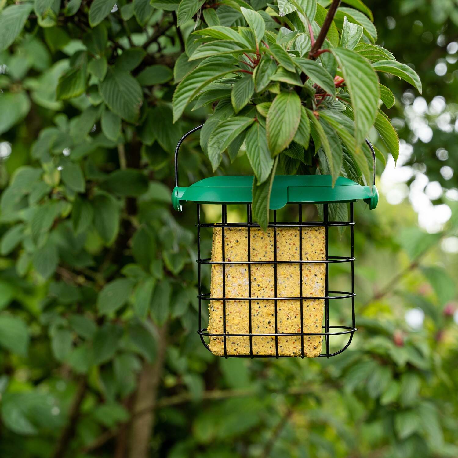 Image of Gardman Flip Top Suet Feast Feeder&hellip;