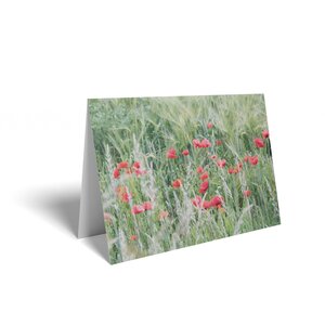 Red Poppy Field Folded Card with Care Info 125 Pack