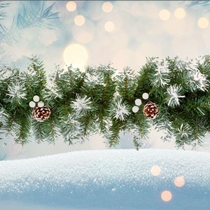 Snow Tipped Berry Garland