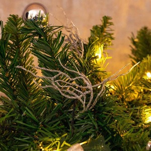  shot 2631336