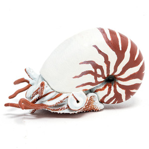 PAPO Marine Life Nautilus Toy Figure - 56061