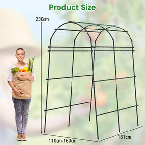  shot 6644934