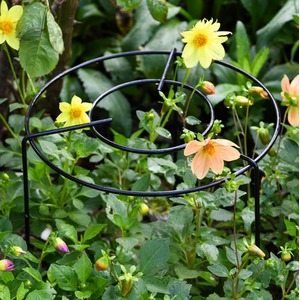 Double Round Grow Through Grid Plant Support Frame
