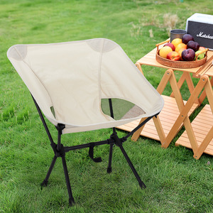 Foldable Portable Camping Chair with Storage Bag