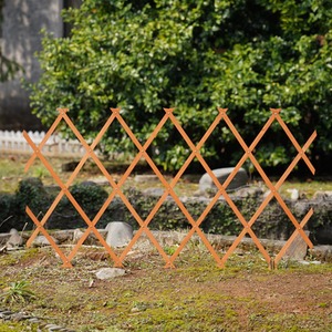  shot 7982011