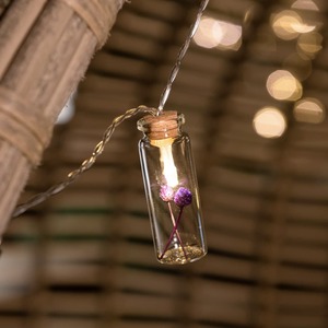 Lumify USB Solar Flower Jar Lights