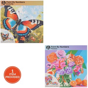 Paint By Numbers Flower or Butterfly Kit