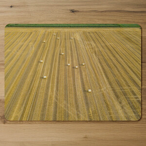 Straw bales of wheat lying on harvested field Designer Placemat Set