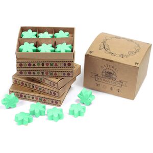 Box of 6 Wax Melts Hidden Garden