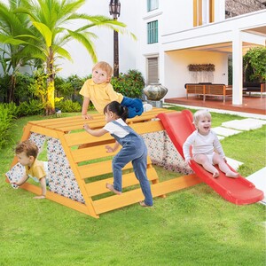5-in-1 Jungle Gym