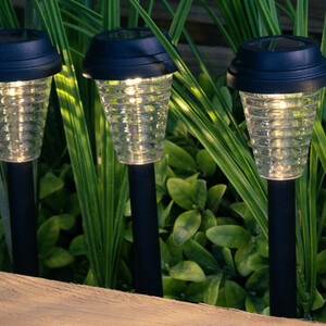 Pack of 20 Solar Koa Stake Lights