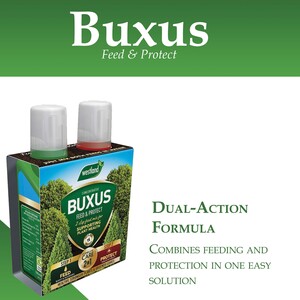 Westland Buxus Feed & Protect 500ml Duo Pack