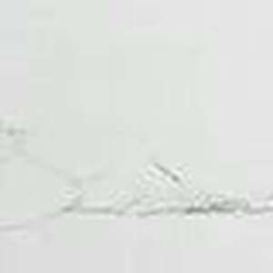  shot 18988994