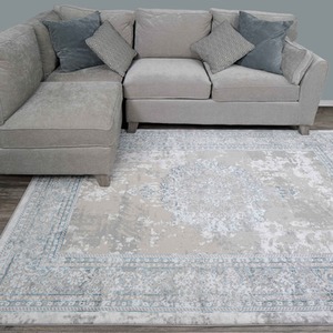 Distressed Traditional Medallion Bordered Area Rug