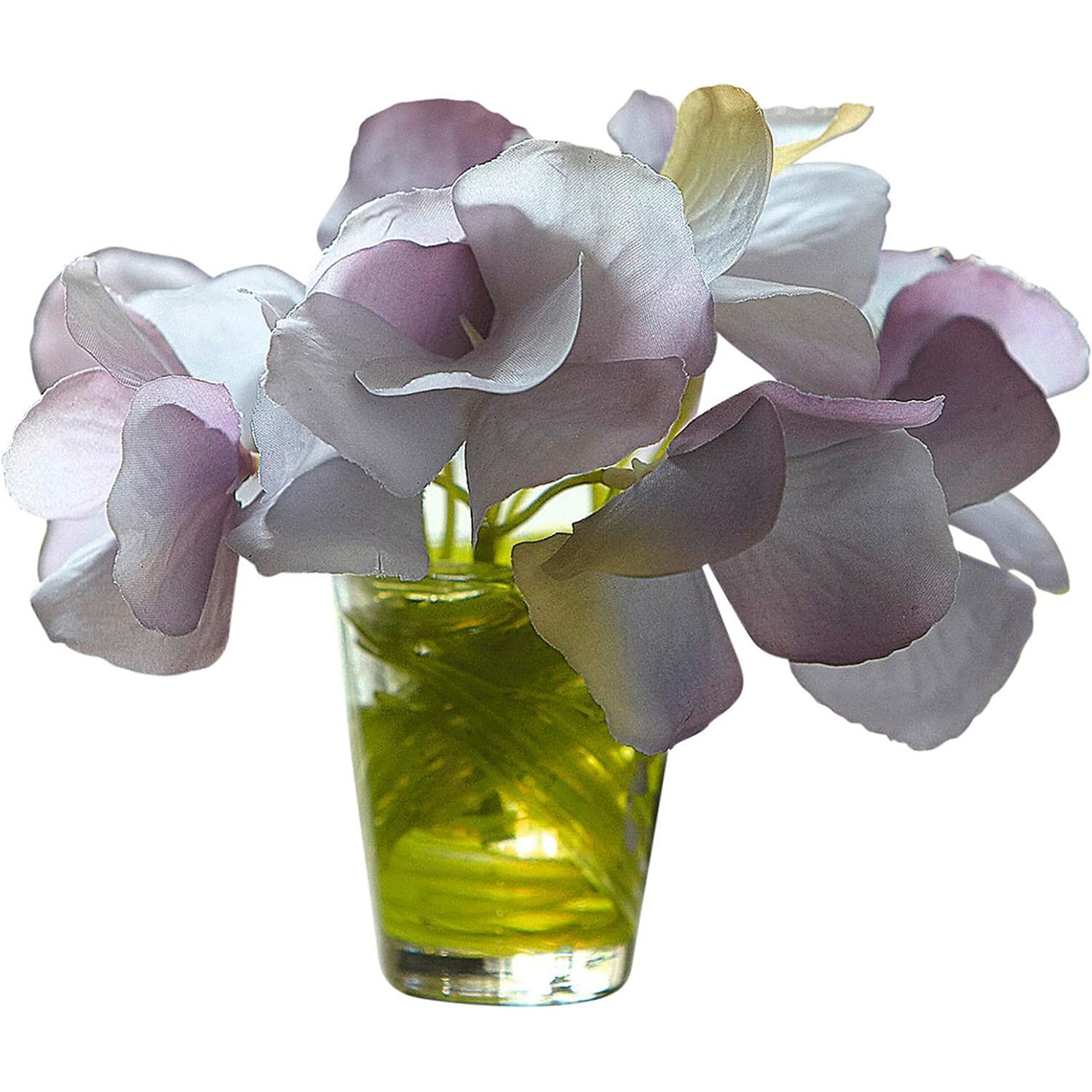 Flower of the Month - Purple