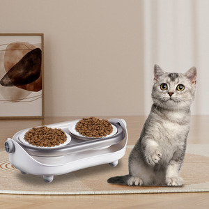 Double Pet Bowls with Adjustable Angle Stand