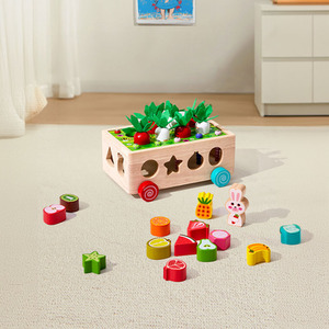 Wooden Montessori Educational Toy for Kids