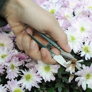 Compact Garden Snips Mini-Scissors