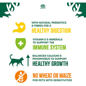  shot 7680615