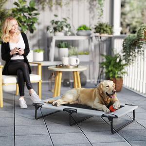 PawHut Portable Raised Dog Bed for Large Dogs