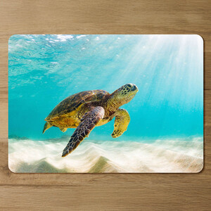 photo of Sea turtle in the Galapagos island Designer Placemat Set