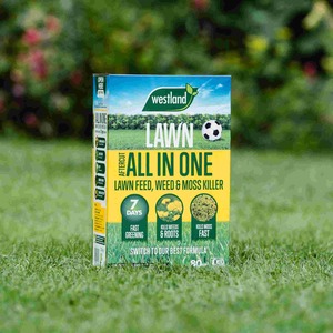 Westland Ultra Green Lawn Feed & Conditioner - Fast-Acting Iron and Magnesium