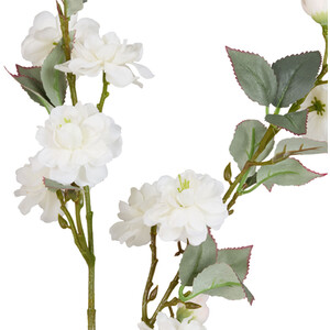 Update shot 15164949