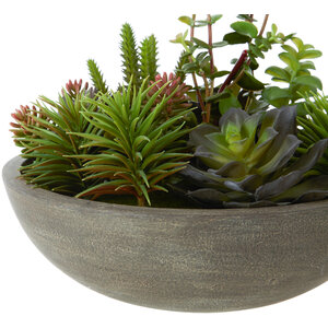 Fiori Mixed Succulent In Stone Effect Pot