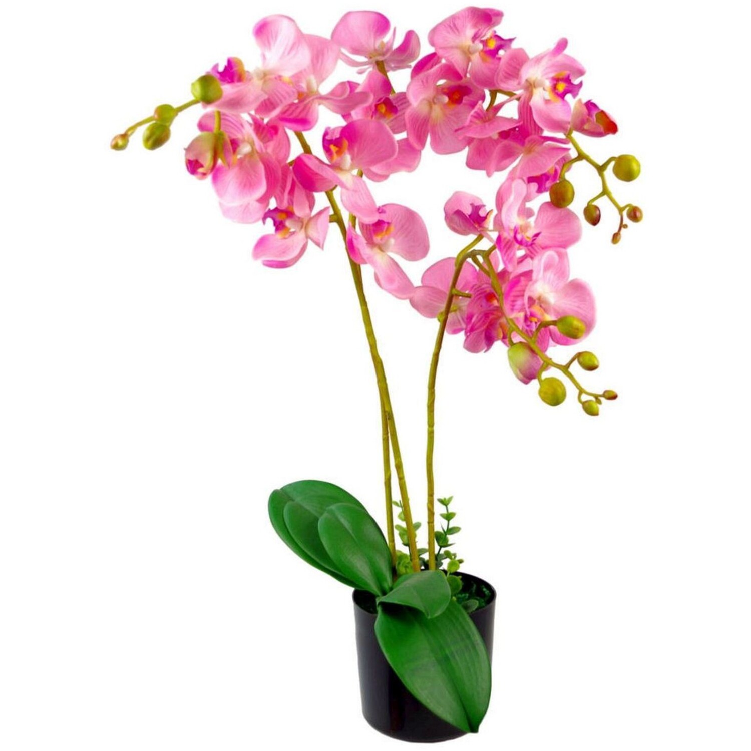 Artificial Phalaenopsis Orchid in Decorative Pot - Pink