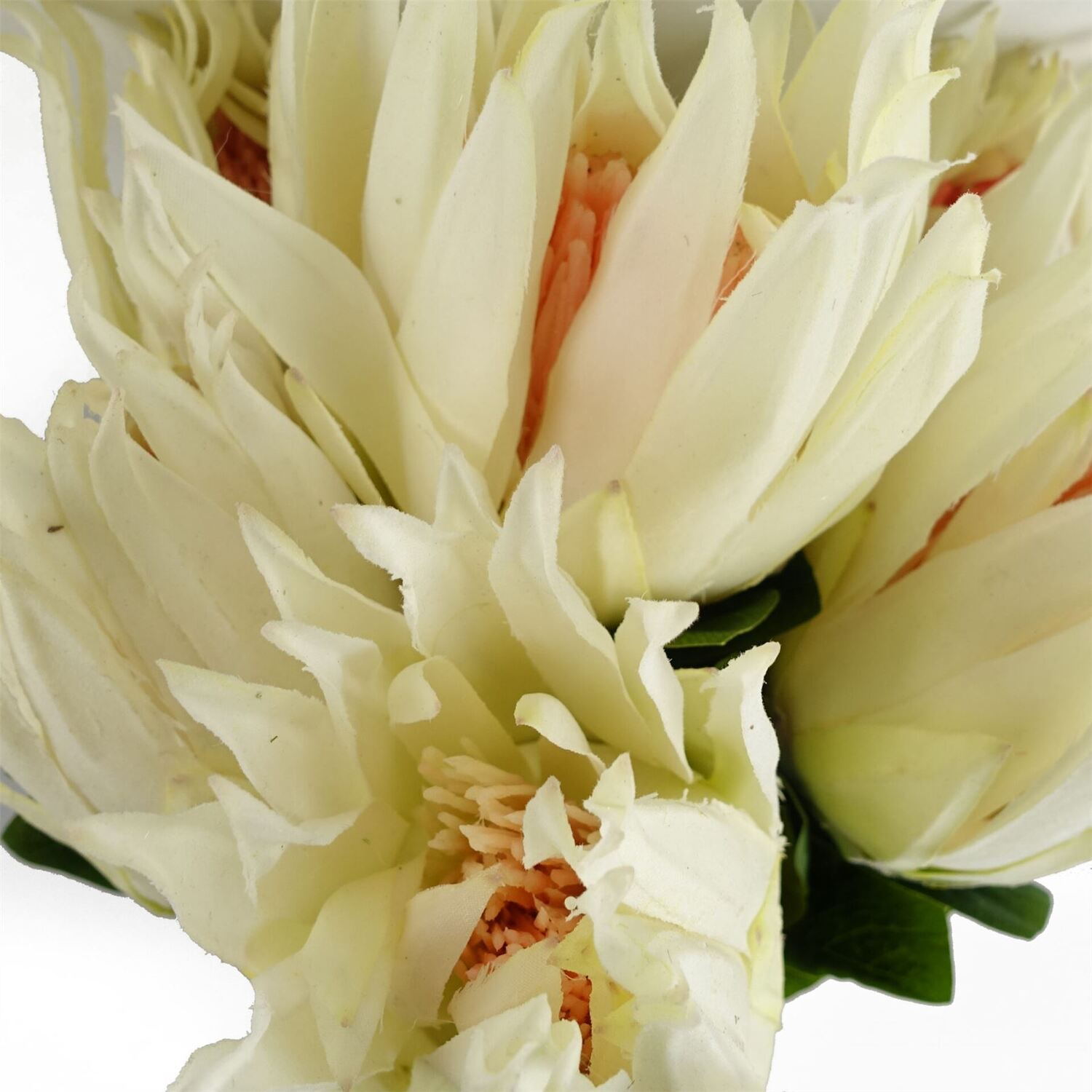 B&Q -  Pack Of 6 X 65Cm Protea Sugarbush Flower StemWhite - Image 3