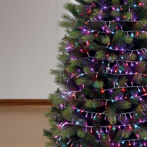 2000 LED Compact Lights