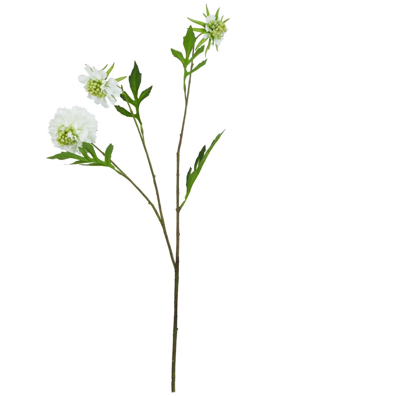 Love Lace Unisex White Scabious Stem Artificial Flower - Image 2