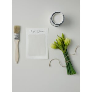 Green Rust-Oleum Gloss Furniture Paint Apple Blossom shot 905299