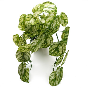 Artificial Trailing Light Green Plant