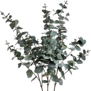Variegated Eucalyptus Faux Botanical Nature Inspired Decor