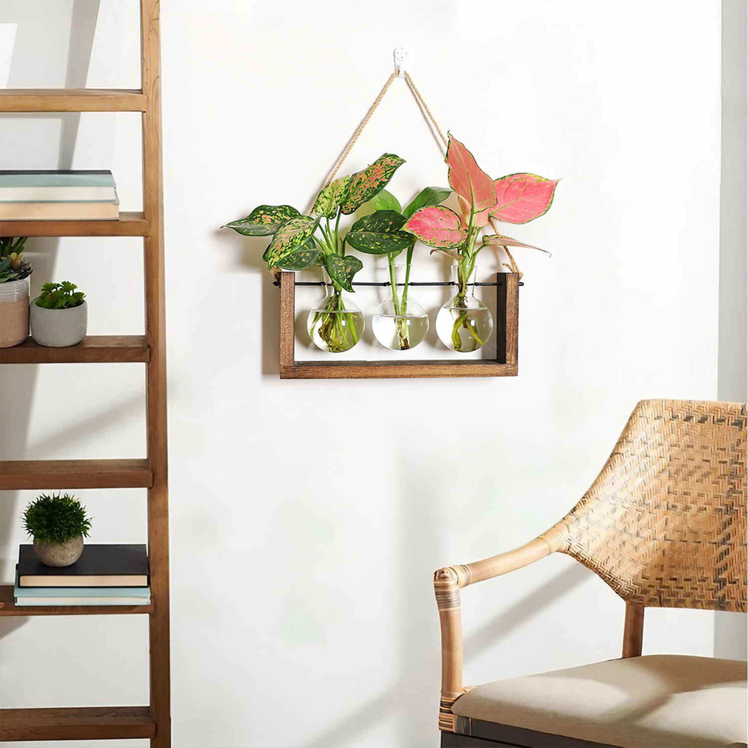 3-Piece Bulb Vases with Wall Hanging Wooden Stand - Transparent+Brown