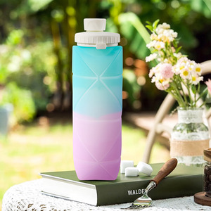 Collapsible Silicone Water Bottle