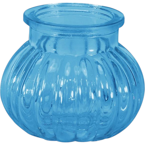 Glass Bubble Jar Bud Vase