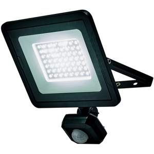Fergus Outdoor LED 30 Watt Flood Light with PIR Sensor