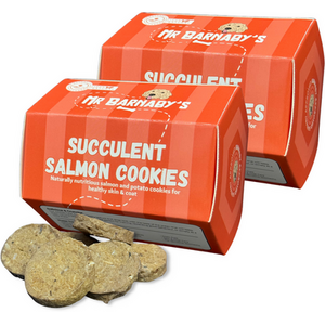 Mr Barnaby's Succulent Salmon Cookies Dog Treats