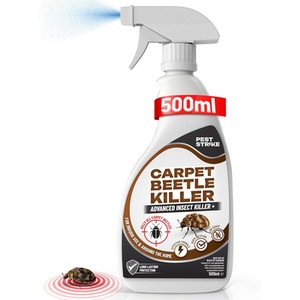Carpet Beetle Spray