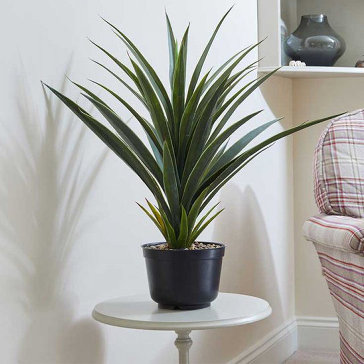Spikey Sisal Artificial House Plant - Mixed