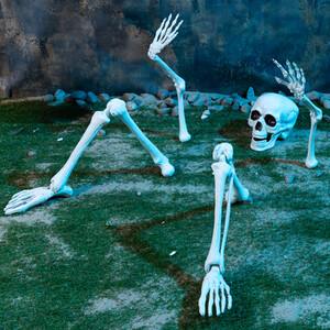 Life-Size Ground Breaking Skeleton