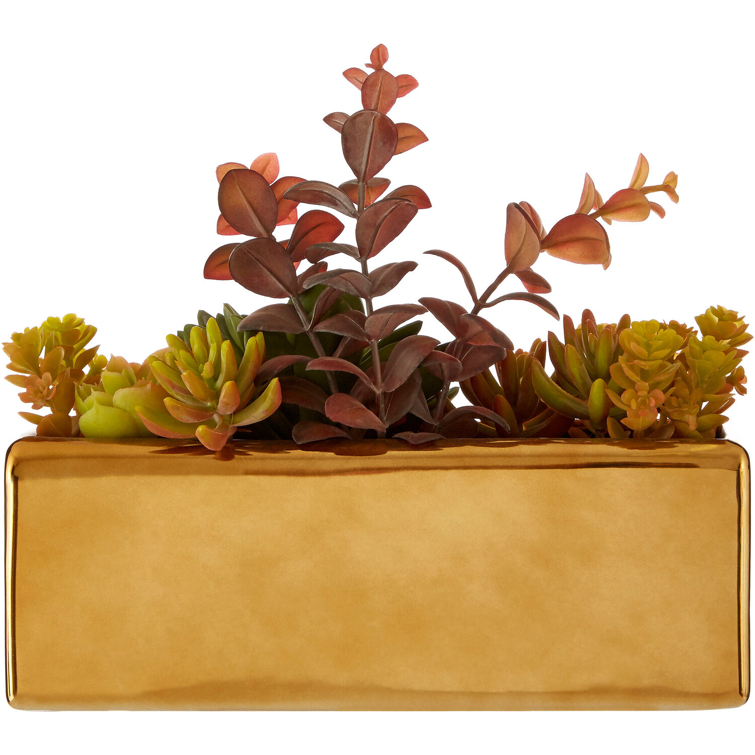 Fiori Mixed Succulents With Gold Ceramic Pot - Gold
