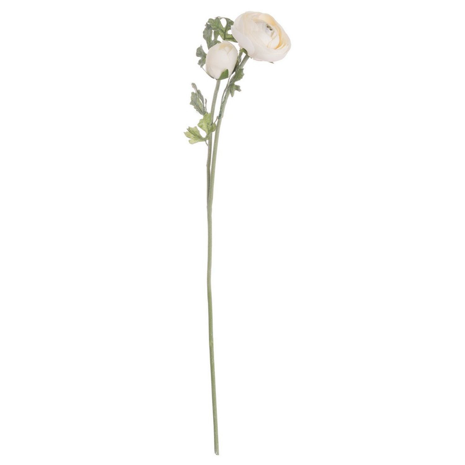 Hill Interiors Artificial Single Short Stem Ranunculus - Soft Cream