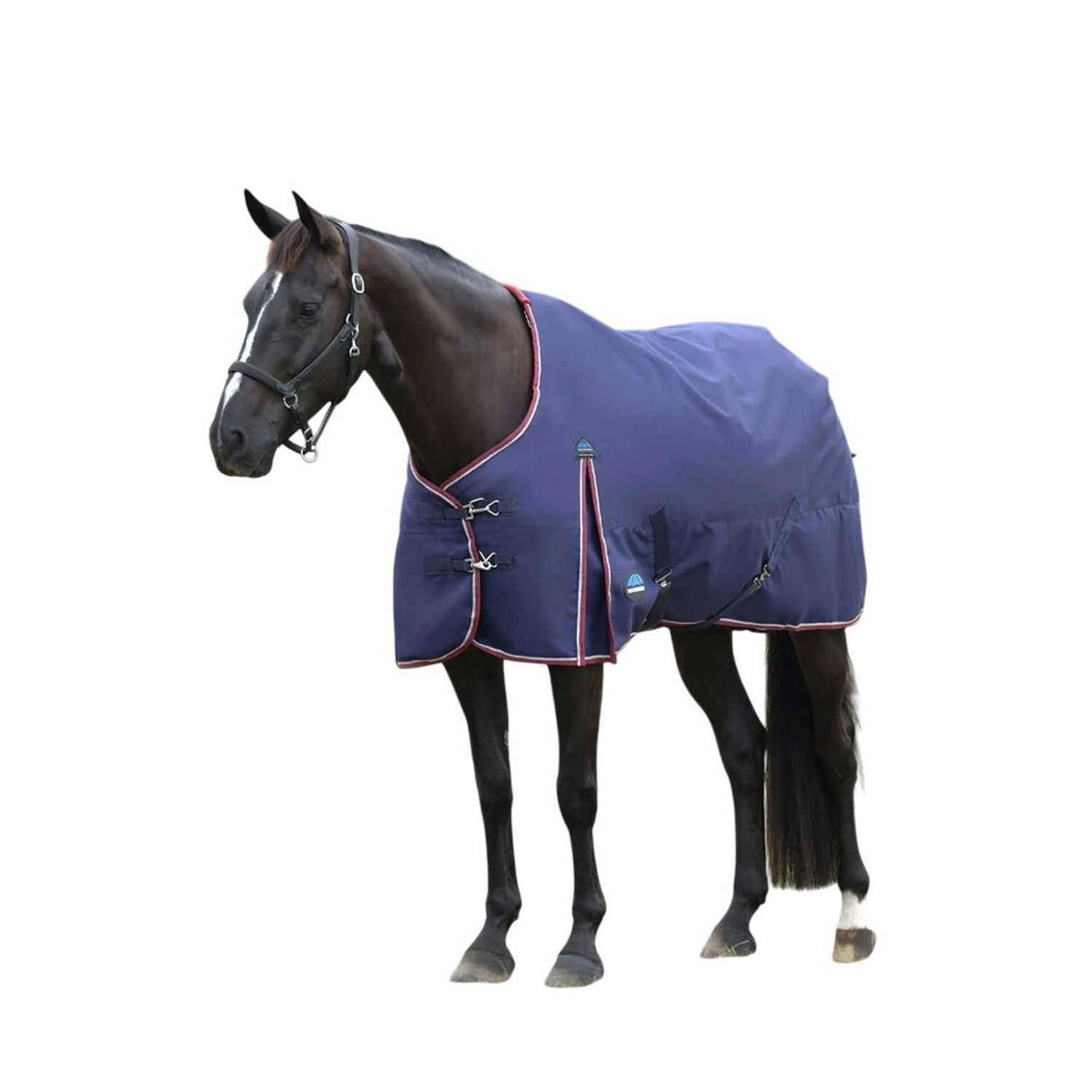 Weatherbeeta Comfitec Essential Standard-Neck 50G Horse Turnout Rug - Navy/Burgundy / Fabric