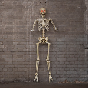 5ft (152cm) Poseable Battery-Powered Halloween Skeleton with Red LED Eyes
