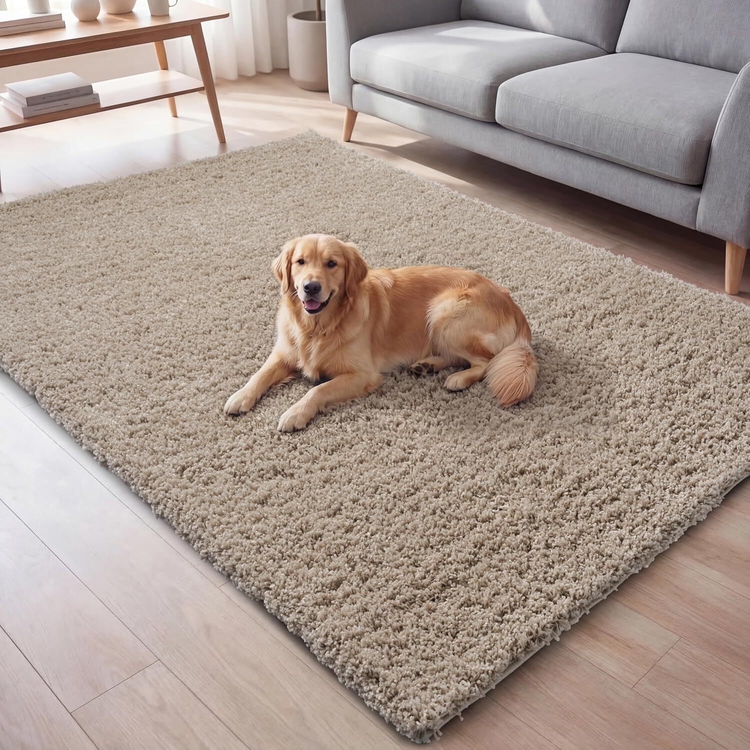 Ruglenza Galaxy Shaggy Rug - Light Beige / 170Cm
